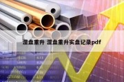 涅盘重升 涅盘重升实盘记录pdf